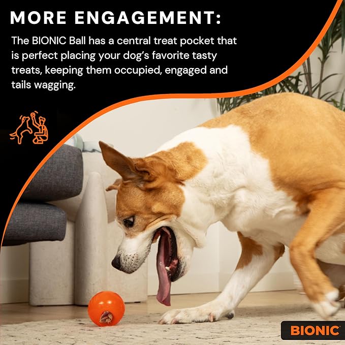 Bionic ball - small