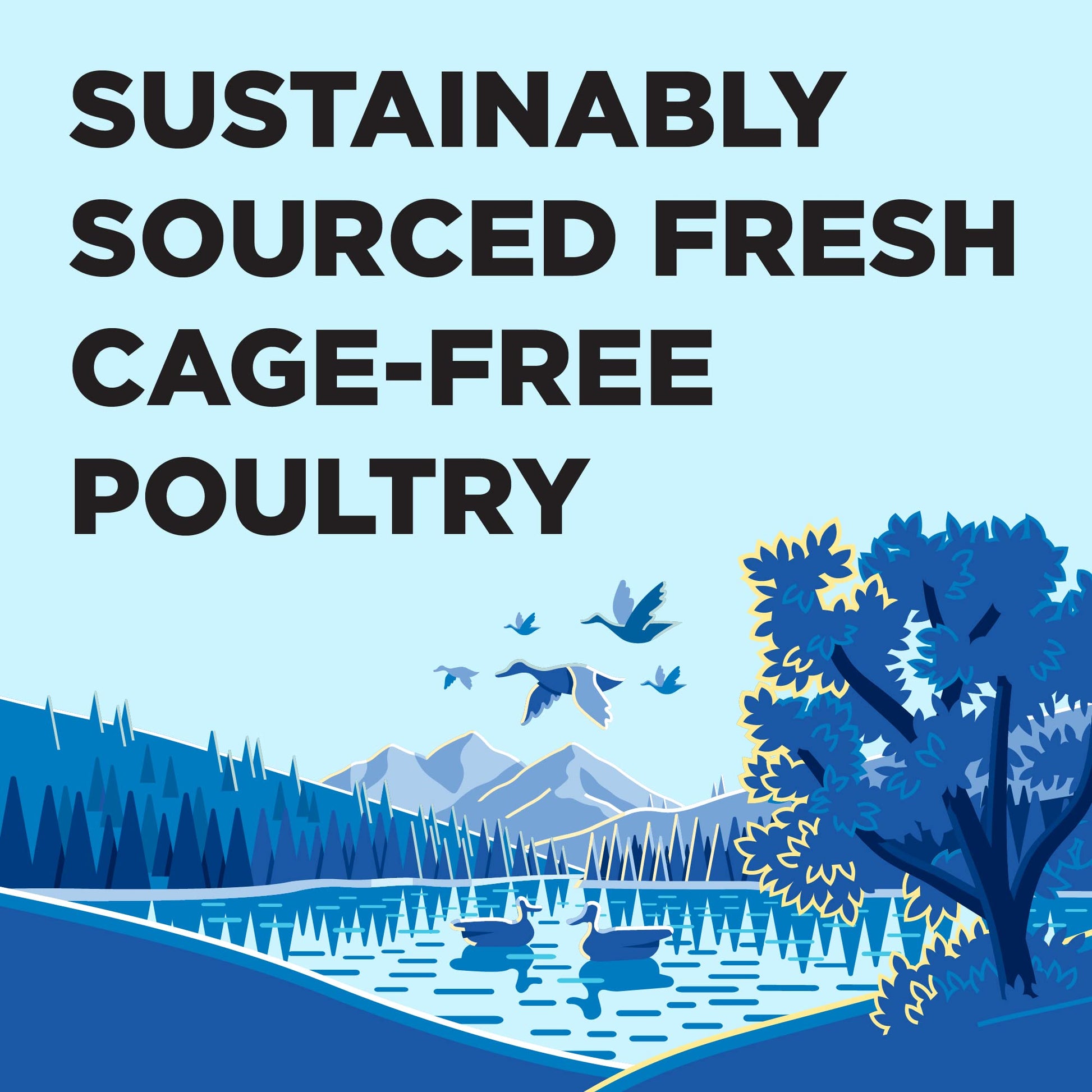 BIXBI Liberty Grain - Free Canned Wet Dog Food, Game Bird Feast Recipe, 12.5 oz. Cans (Pack of 12)
