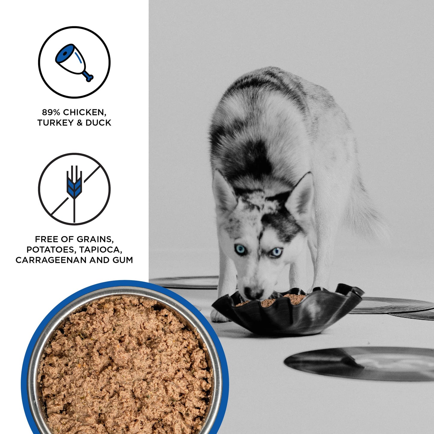 BIXBI Liberty Grain - Free Canned Wet Dog Food, Game Bird Feast Recipe, 12.5 oz. Cans (Pack of 12)