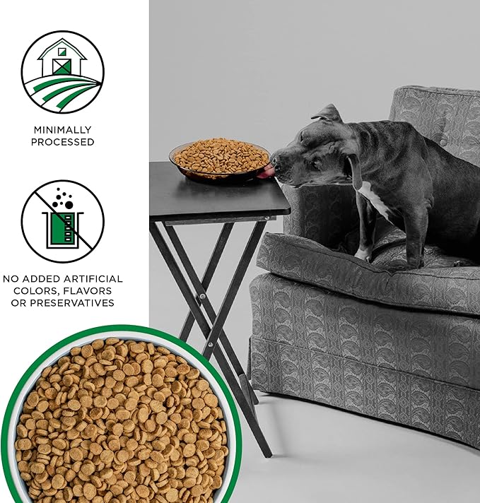 Bixbi liberty grain free dog food chicken Turkey & fish meal 4lbs