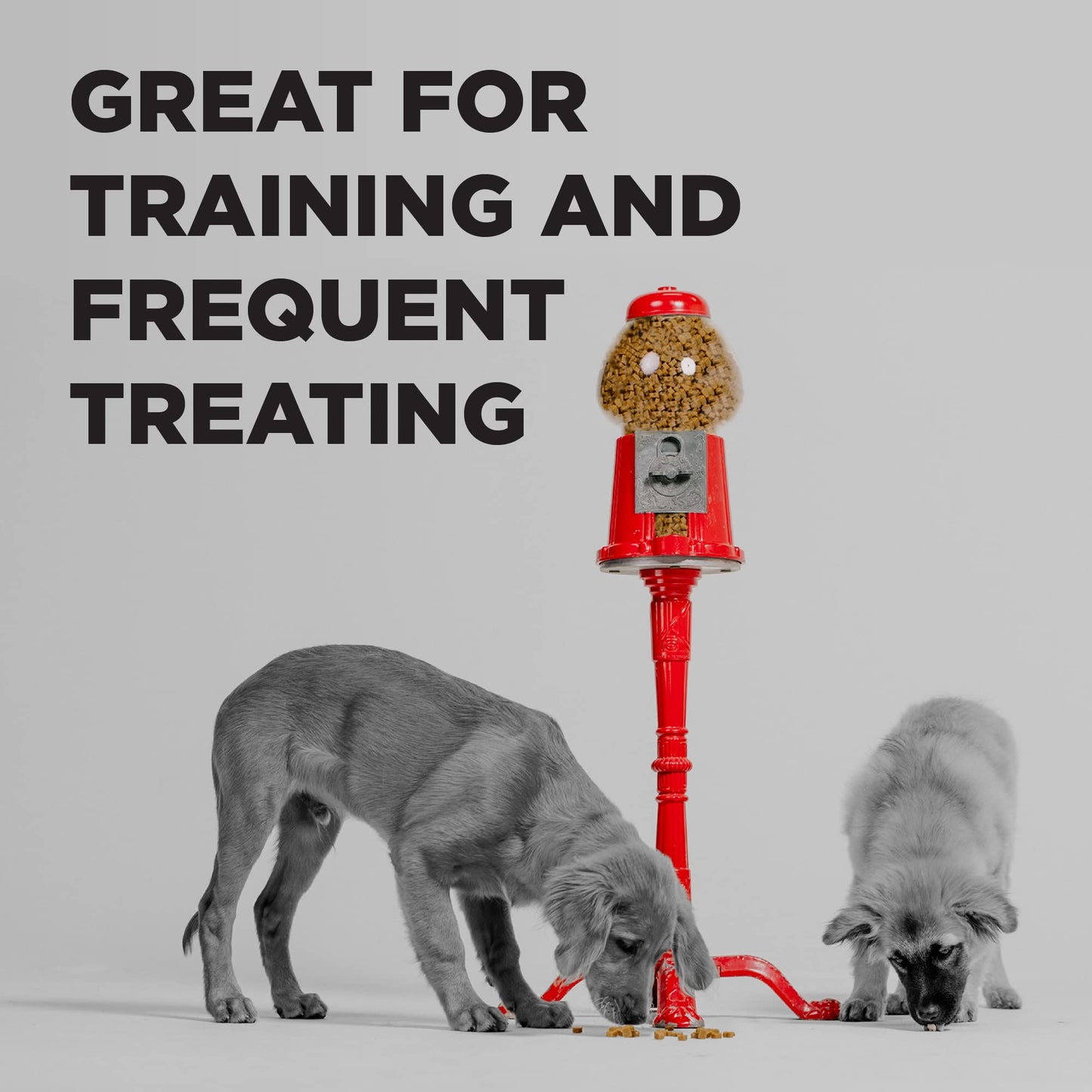 Bixbi Pocket Trainers, Salmon (6 Oz, 1 Pouch) - Small Training Treats For Dogs - Low Calorie And Grain Free Dog Treats, Flavorful Pocket Size Healthy And All Natural Dog Treats