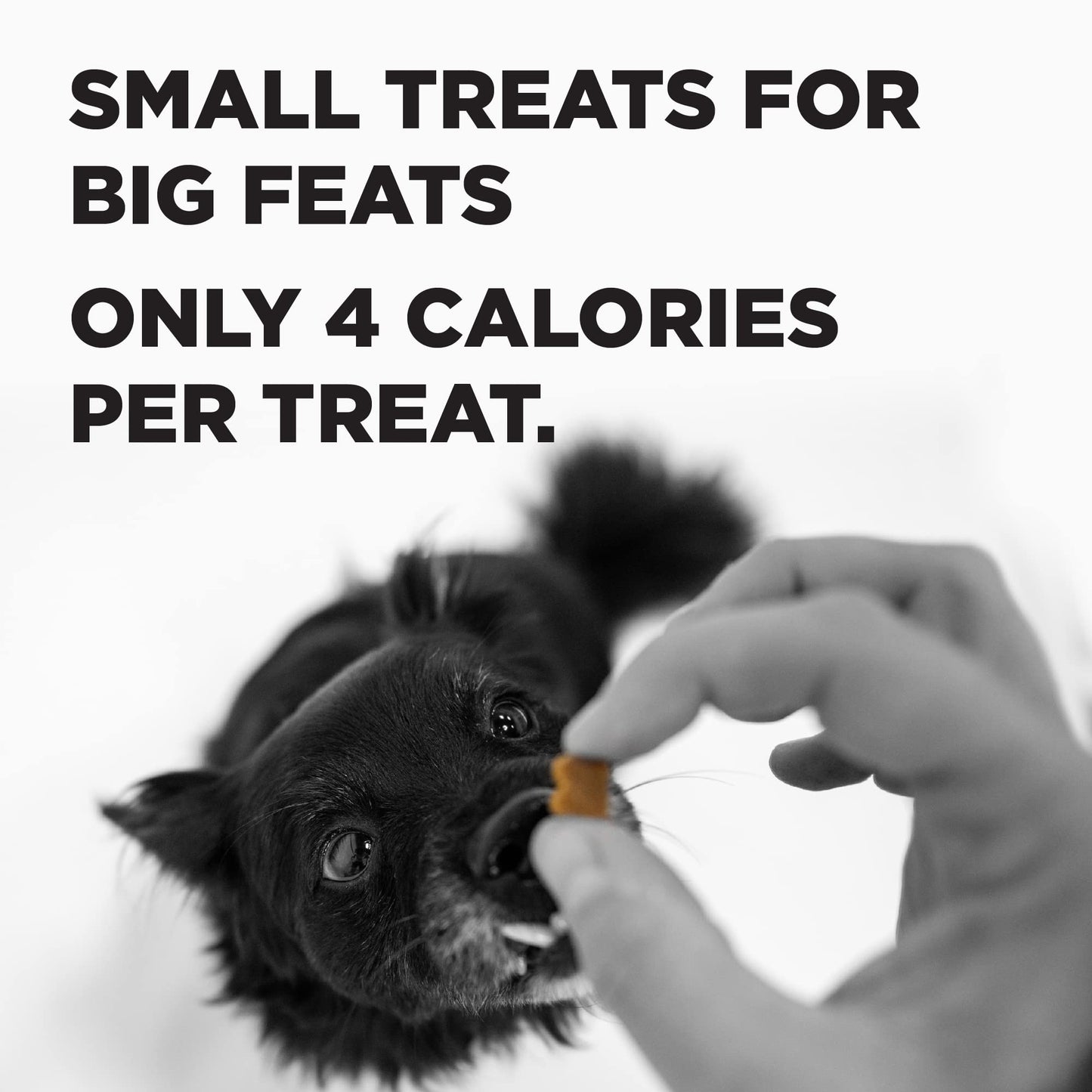 Bixbi Pocket Trainers, Salmon (6 Oz, 1 Pouch) - Small Training Treats For Dogs - Low Calorie And Grain Free Dog Treats, Flavorful Pocket Size Healthy And All Natural Dog Treats
