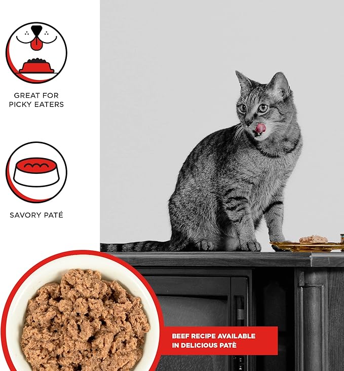 Bixbi rawbble beef recipe pate grain free grass fed beef 2.75oz canned cat food