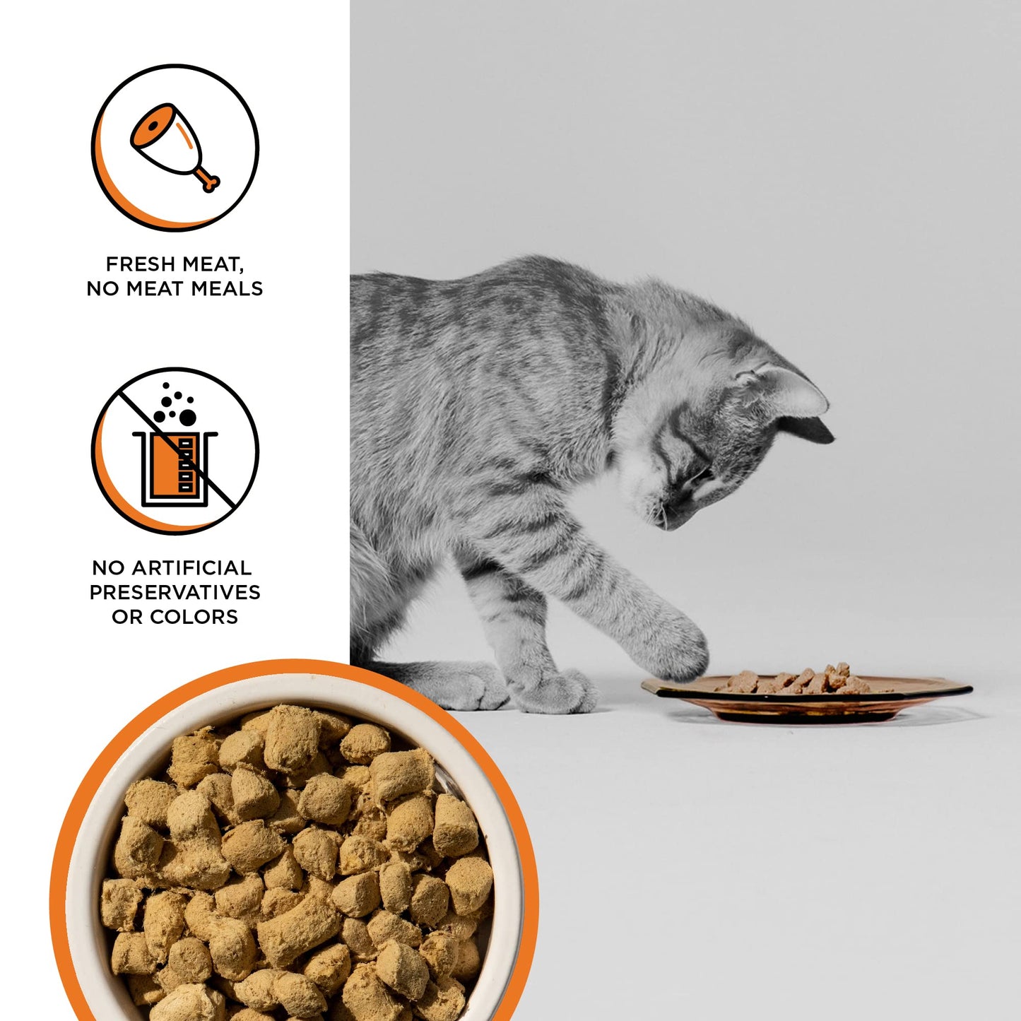 BIXBI Rawbble Freeze Dried Cat Food, Chicken Recipe, 3.5 oz - 95% Organs and Bone Raw Cat Food - USA Made