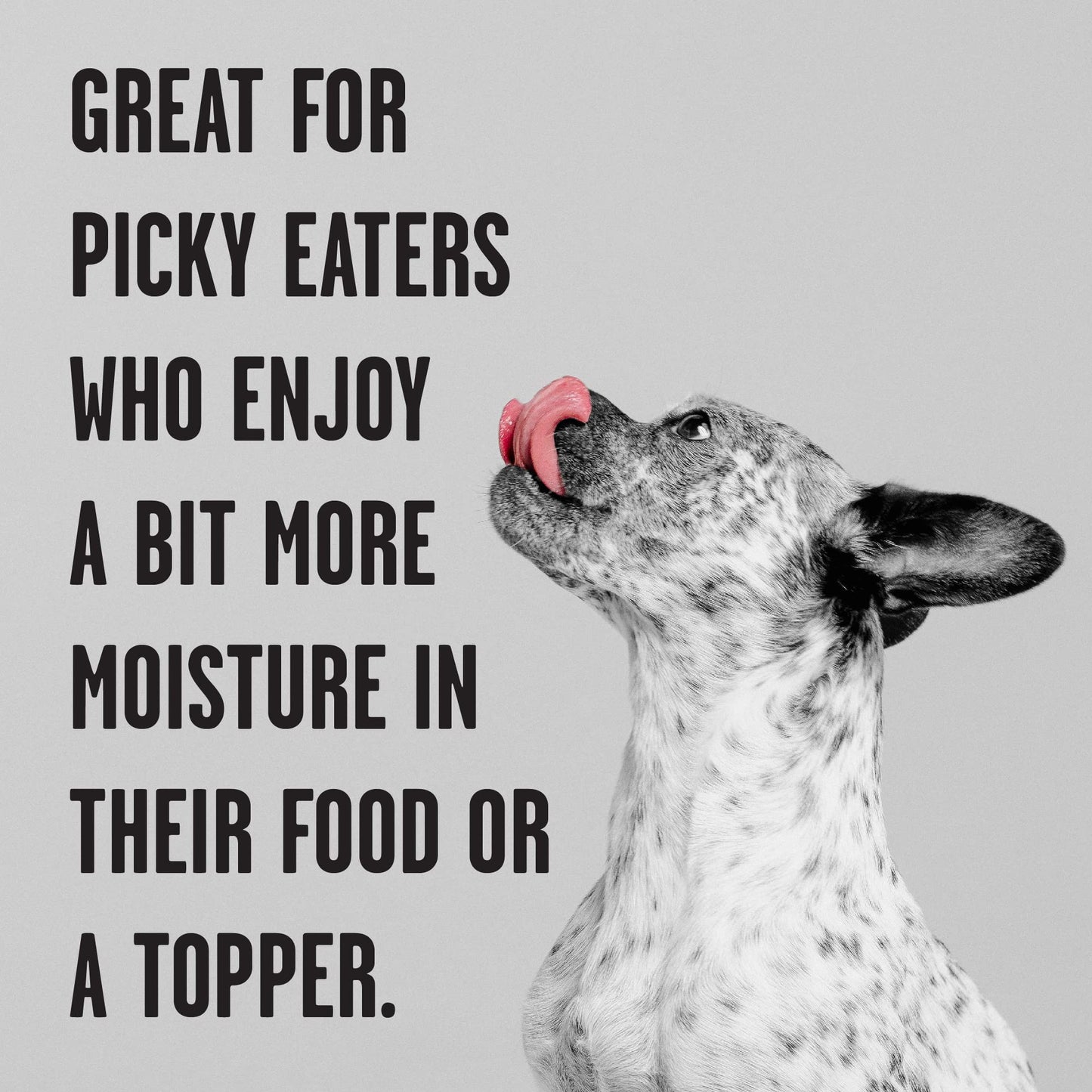 BIXBI Rawbble Grain - Free Canned Wet Dog Food, Lamb Recipe, 12.5 oz. Cans (Pack of 12)