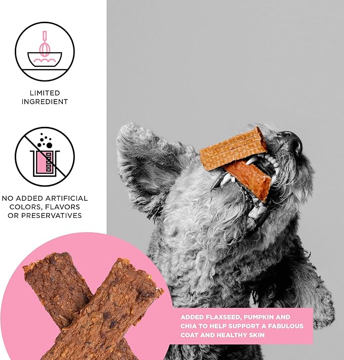 Bixbi skin & Coat salmon jerky treats 10oz dog jerky