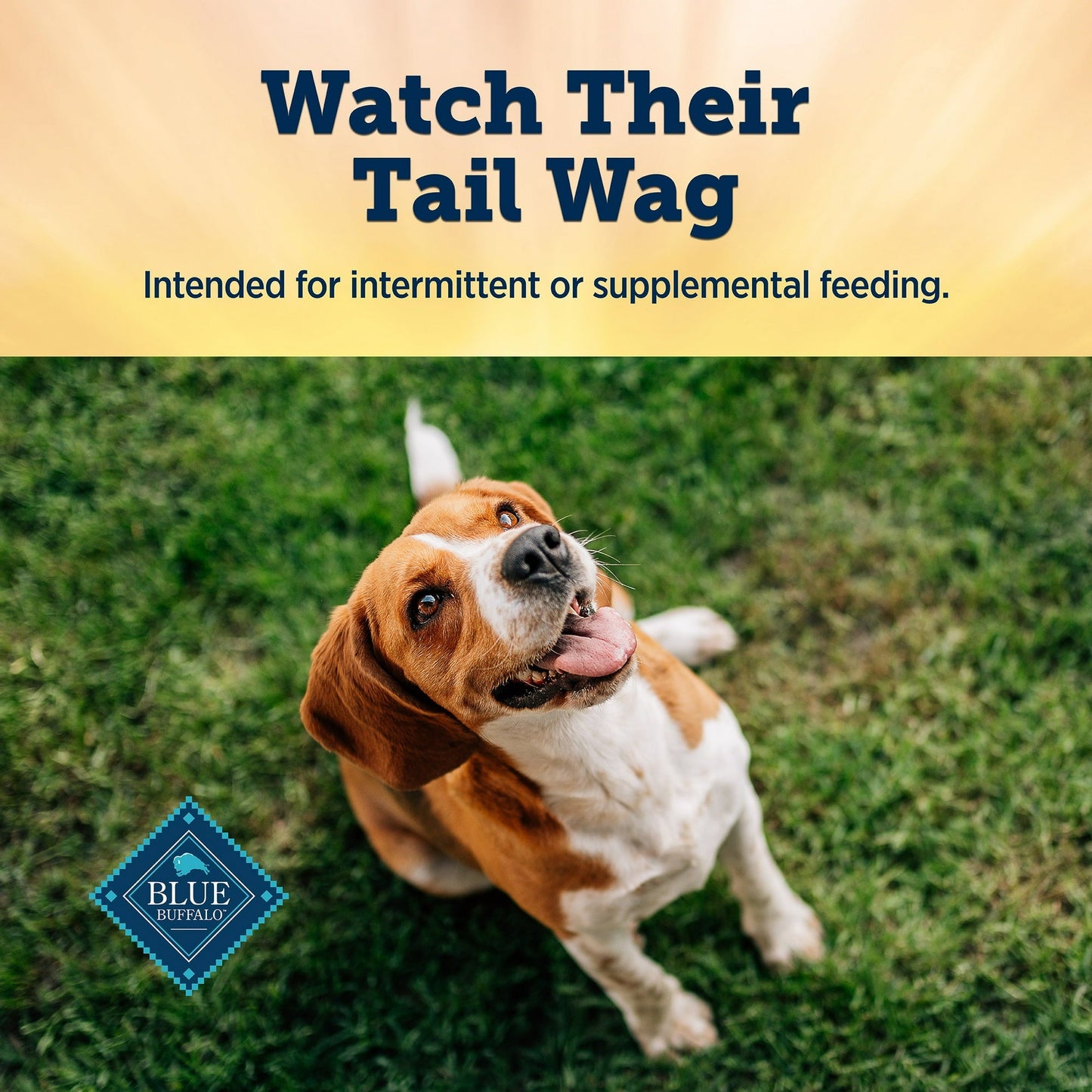 Blue buffalo dog treats true chews premium grillers with real steak 12 oz