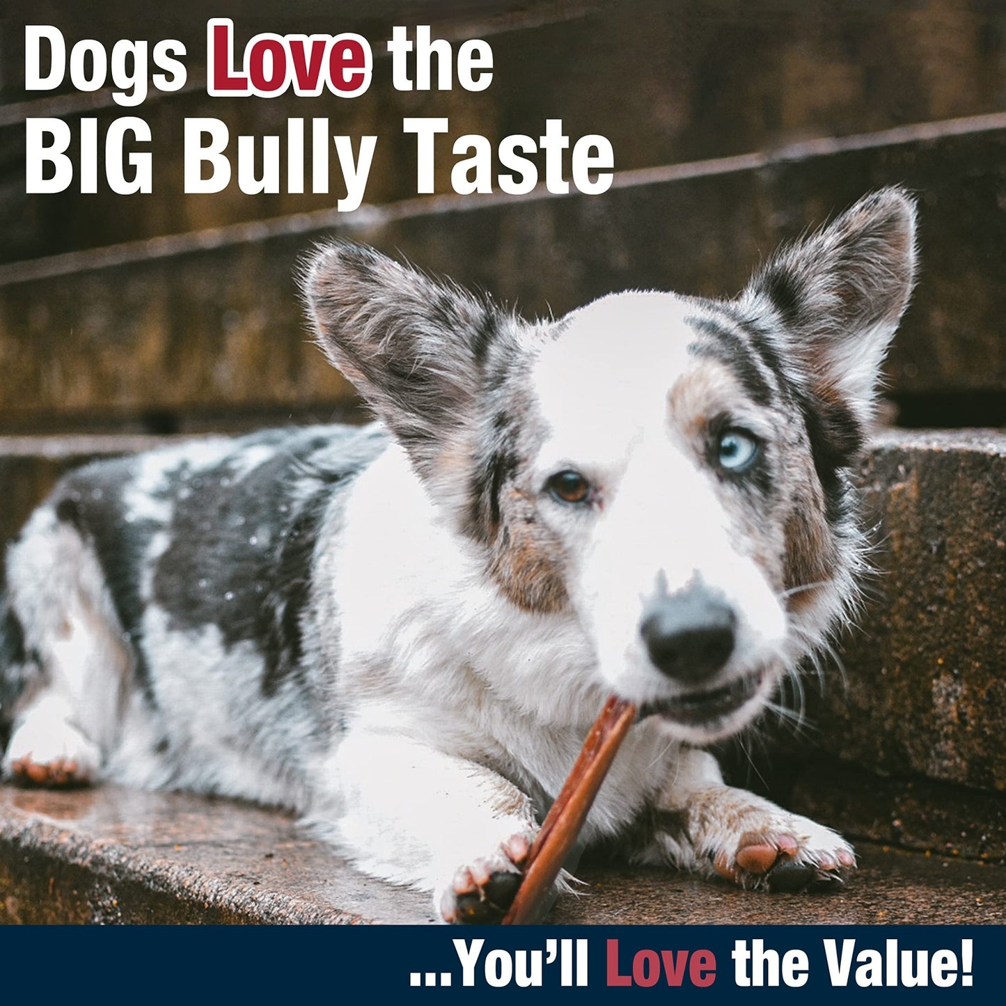 Cadet Bully Hide Sticks for Small Dogs, All - Natural Beef Pizzle, Limited - Ingredient Long - Lasting Dog Chews for Aggressive Chewers, 4 Count