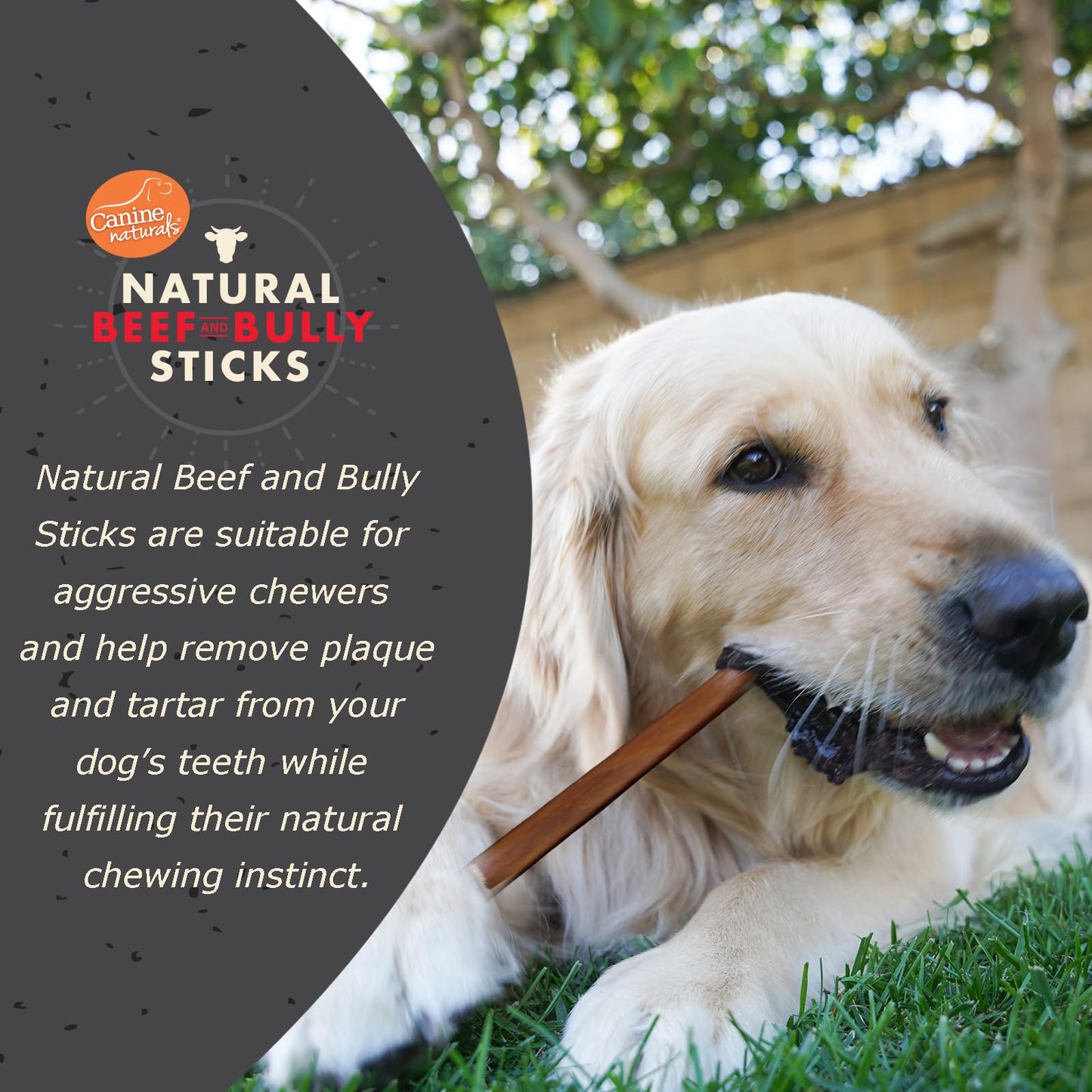 Canine Naturals | Natural Beef & Bully Sticks | Long - Lasting, Odor Free, High Protein Chews Made with 100% Real Bully | 4 Count Large Sticks