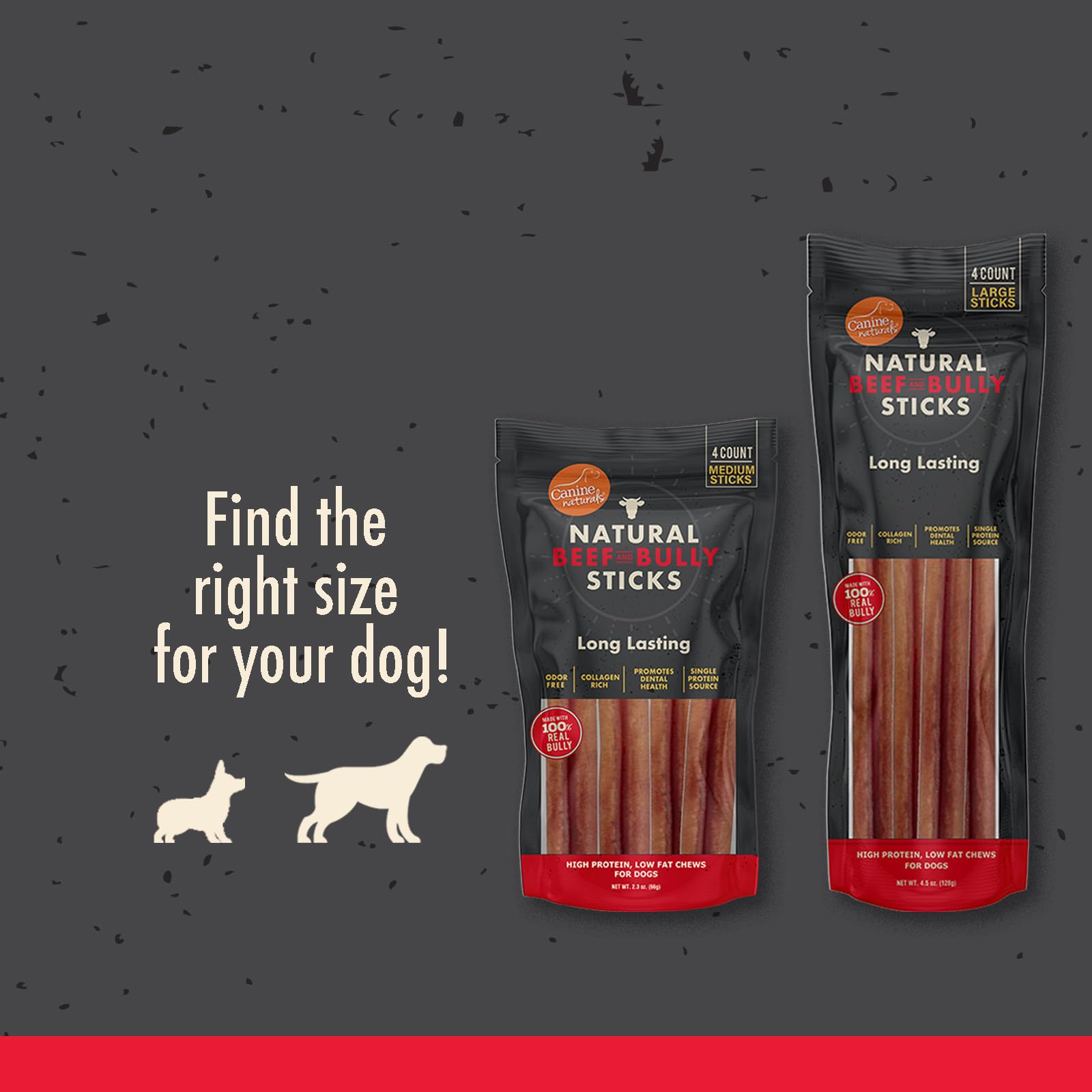 Canine Naturals | Natural Beef & Bully Sticks | Long - Lasting, Odor Free, High Protein Chews Made with 100% Real Bully | 4 Count Large Sticks