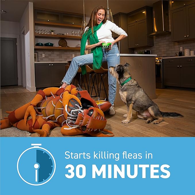 Capstar™ 2 - 25 Lb Dog Flea Treatment