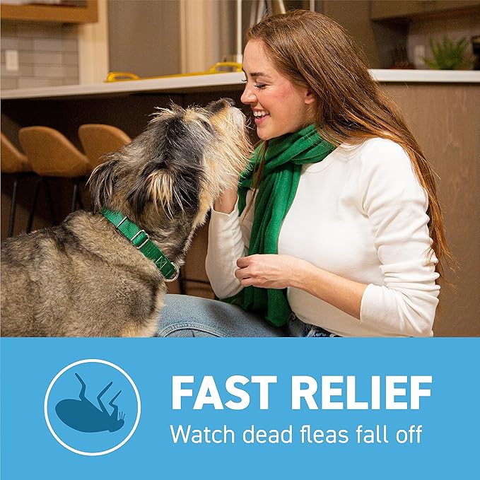 Capstar™ 2 - 25 Lb Dog Flea Treatment