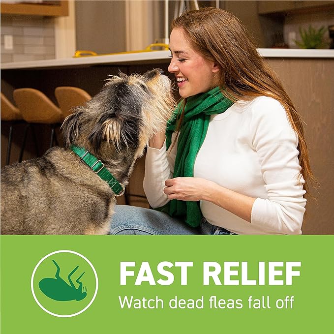 Capstar Flea Tablets for Dogs over 25 lbs., Count of 6