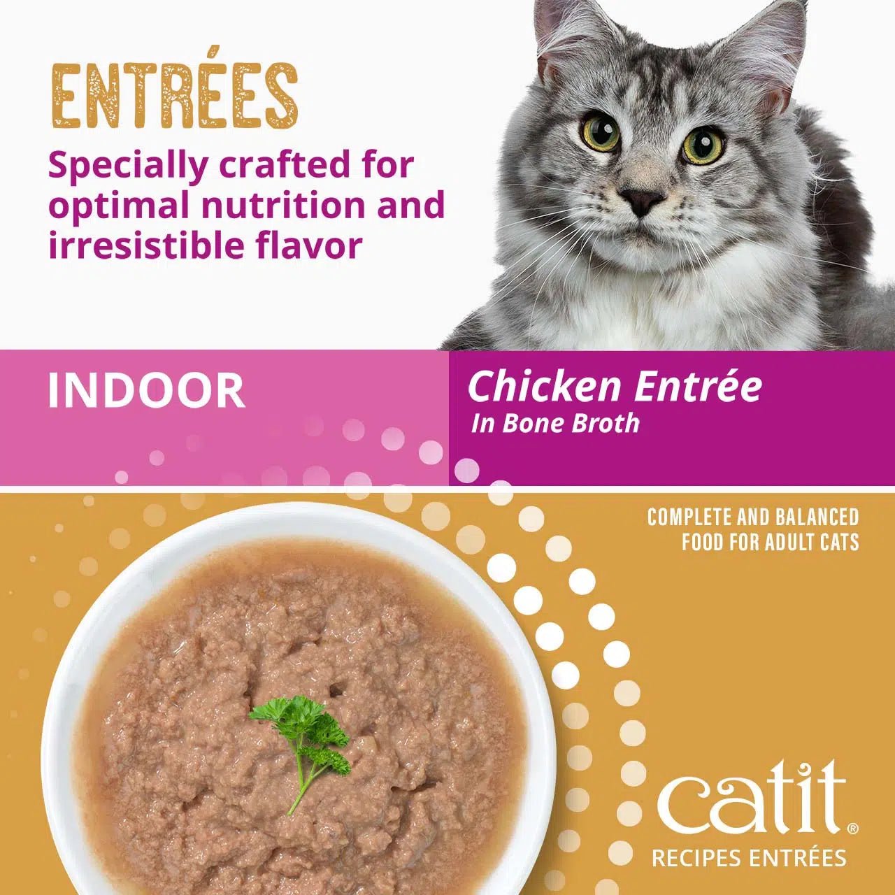 Catit recipes indoor chicken entree in bone broth 3oz