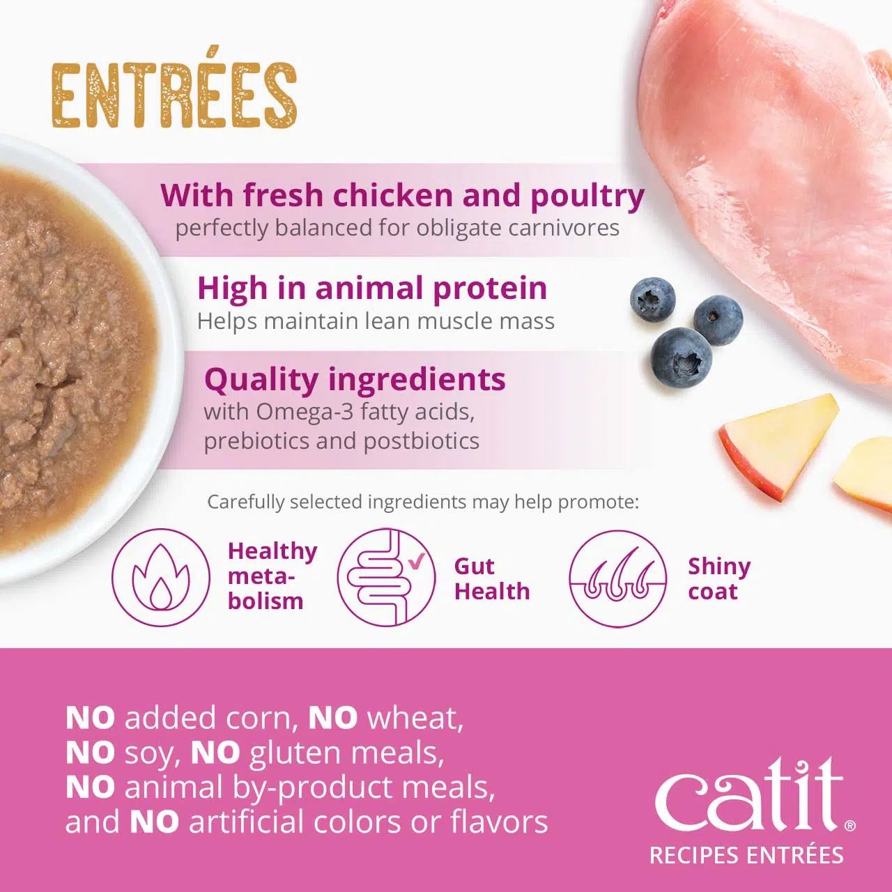 Catit recipes indoor chicken entree in bone broth 3oz