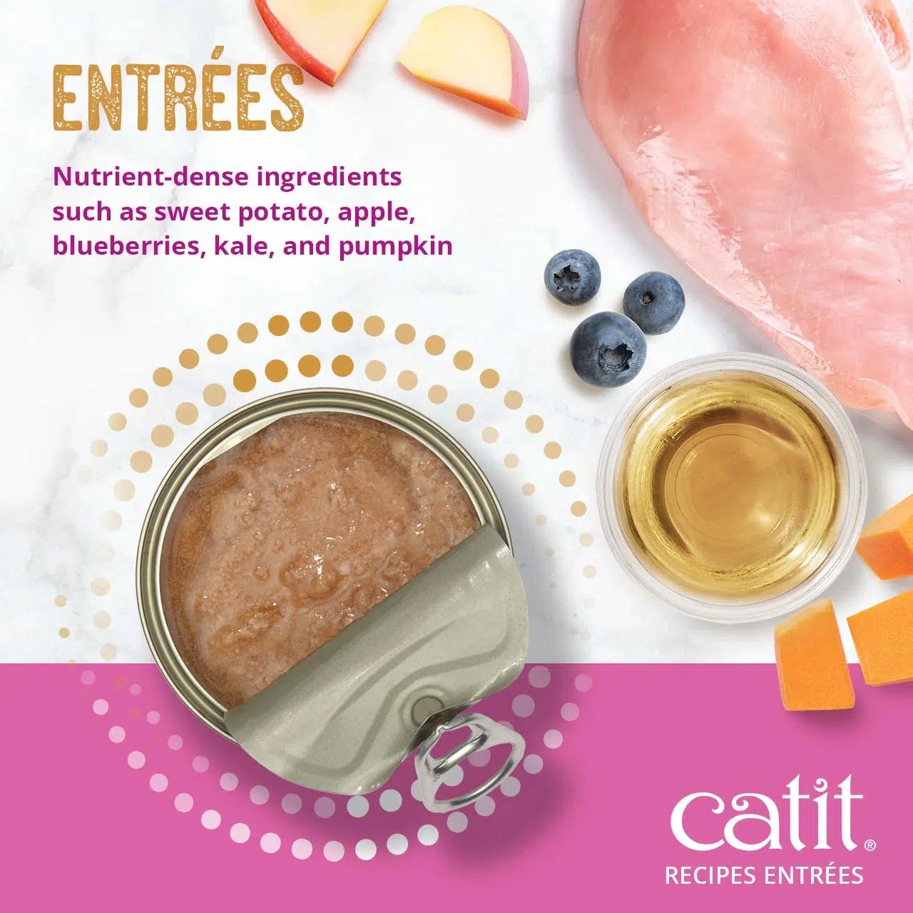 Catit recipes indoor chicken entree in bone broth 3oz