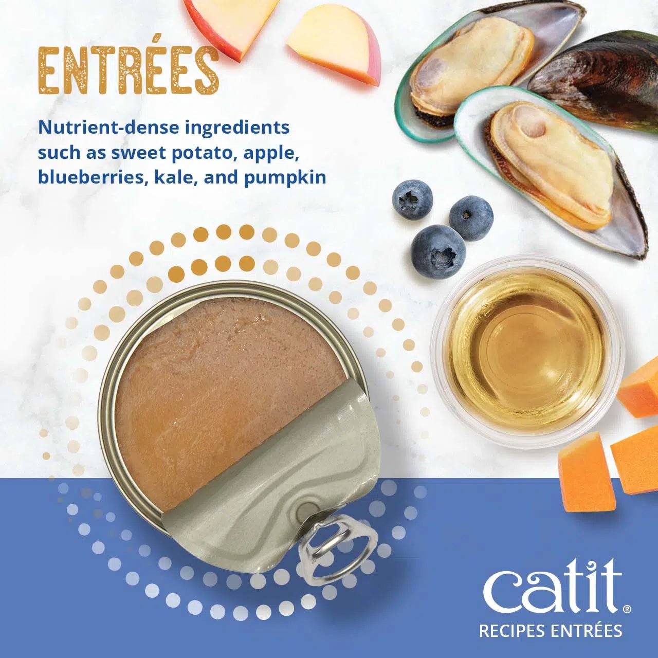 Catit skin and coat seafood and chicken entree 3oz