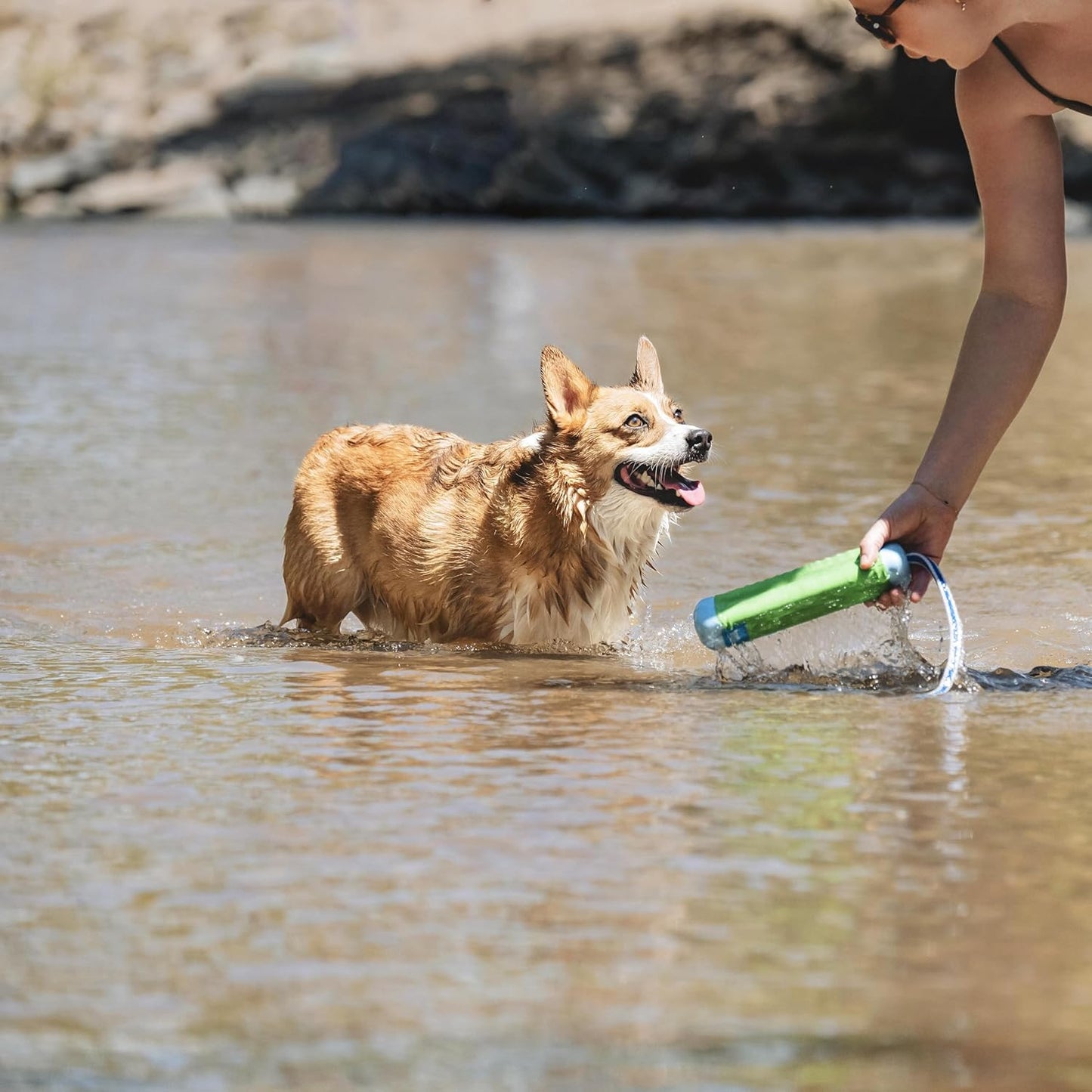 Chuck it amphibious bumper small dog toy