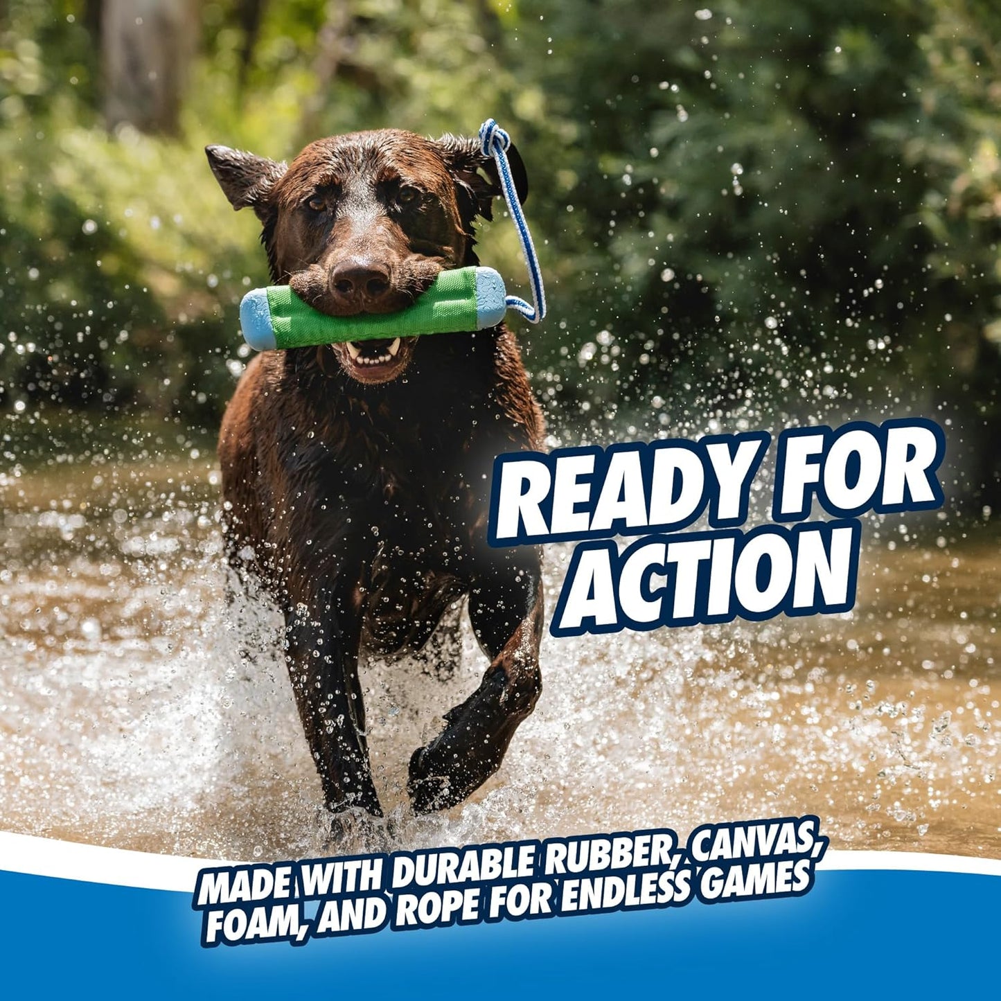 Chuck it amphibious bumper small dog toy