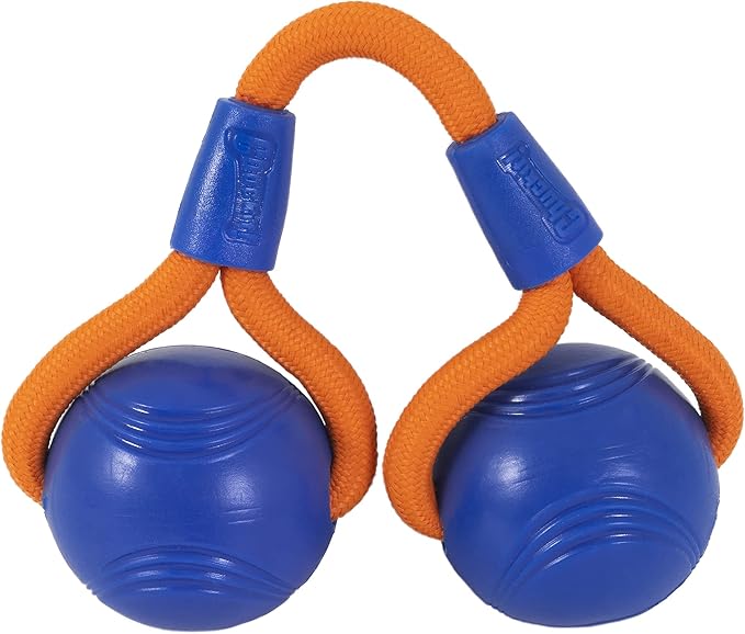Chuck it crunch duo tug dog toy