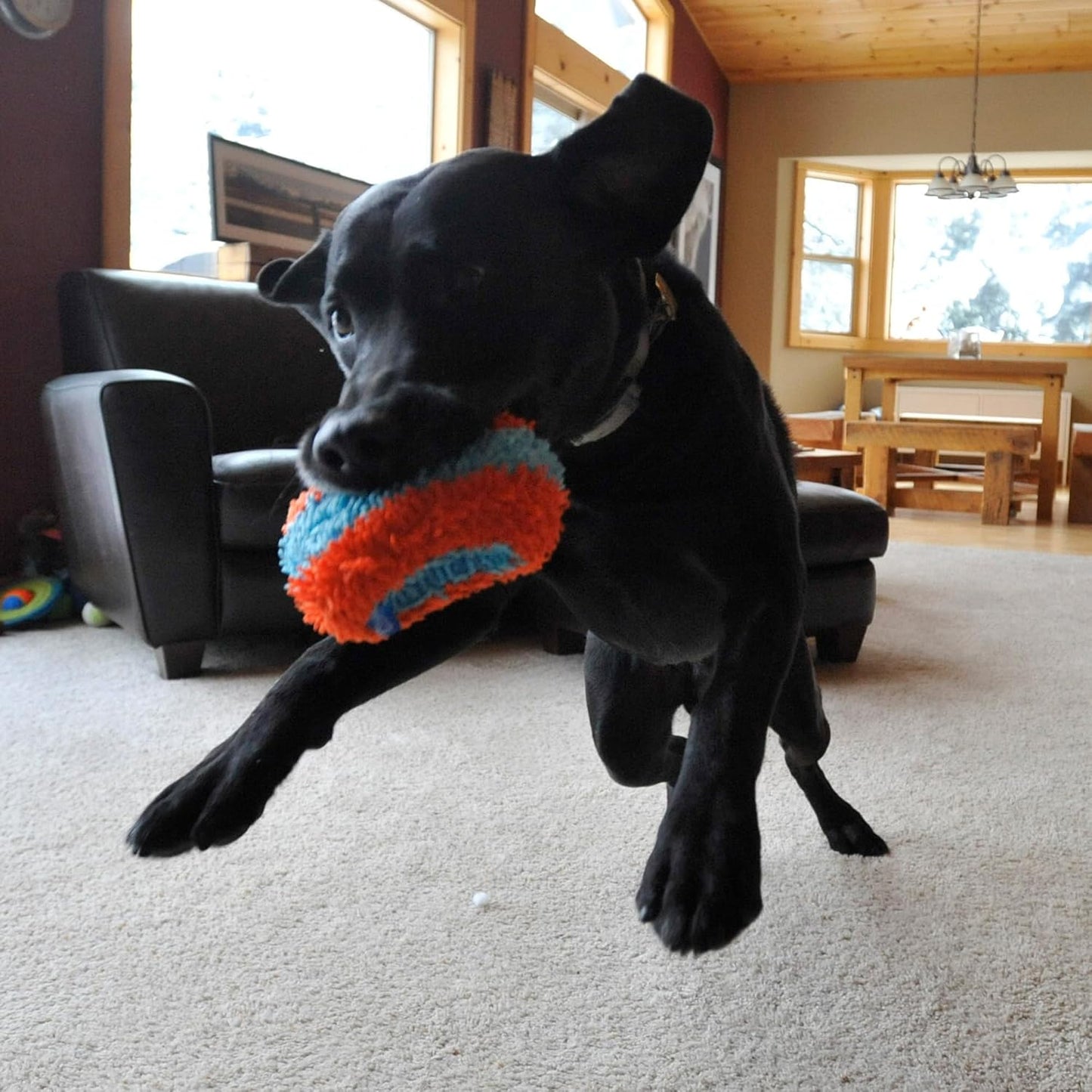 Chuck it indoor roller dog toy