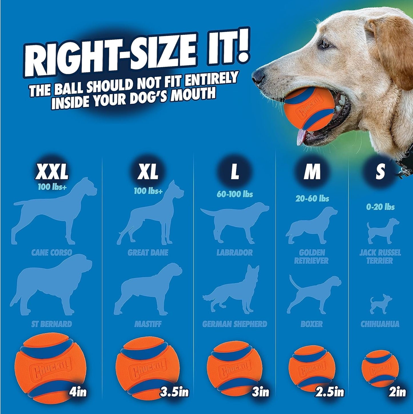 Chuck it M dog ball launcher 25