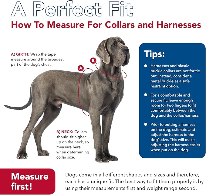 Circle T Oak Tanned Leather Round Standard Dog Collar, Black, Large: 22 - in neck, 1 - in wide