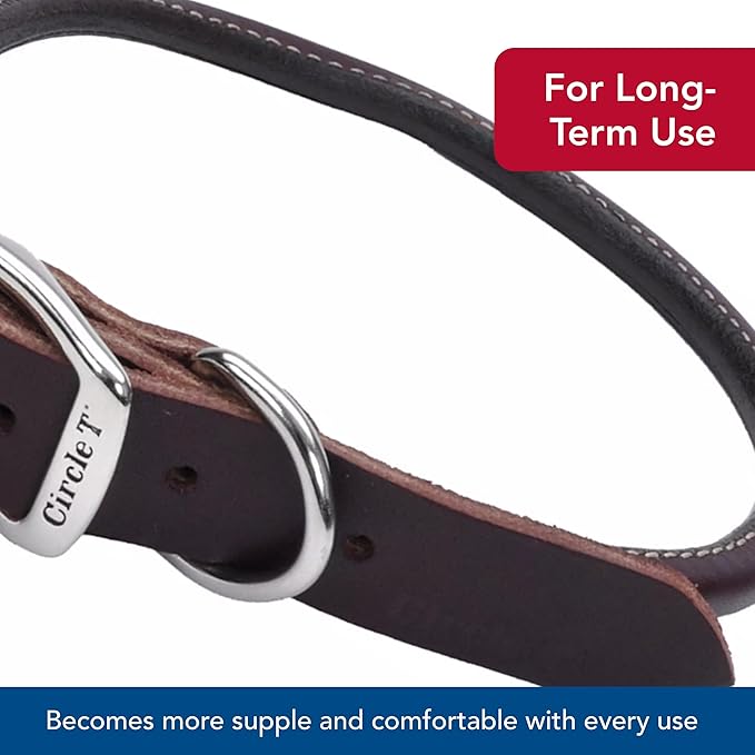Circle T Oak Tanned Leather Round Standard Dog Collar, Black, Large: 22 - in neck, 1 - in wide
