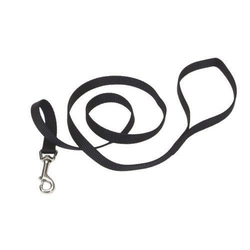 Coastal 4’ black nylon leash