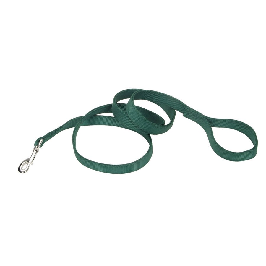 Coastal 4ft 2904 dog leash