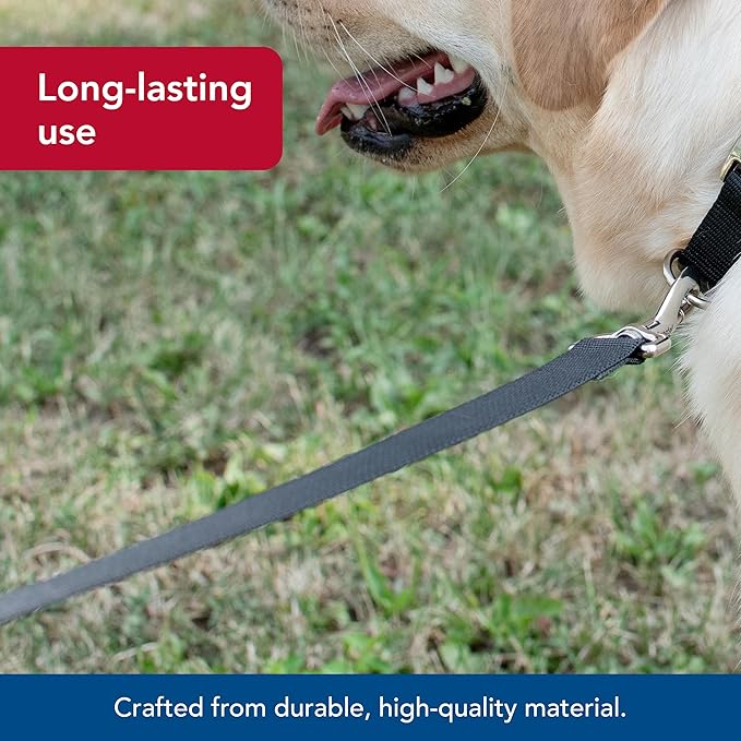 Coastal 6’ leash - black