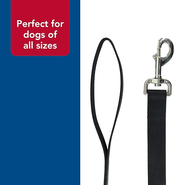 Coastal 6’ leash - black