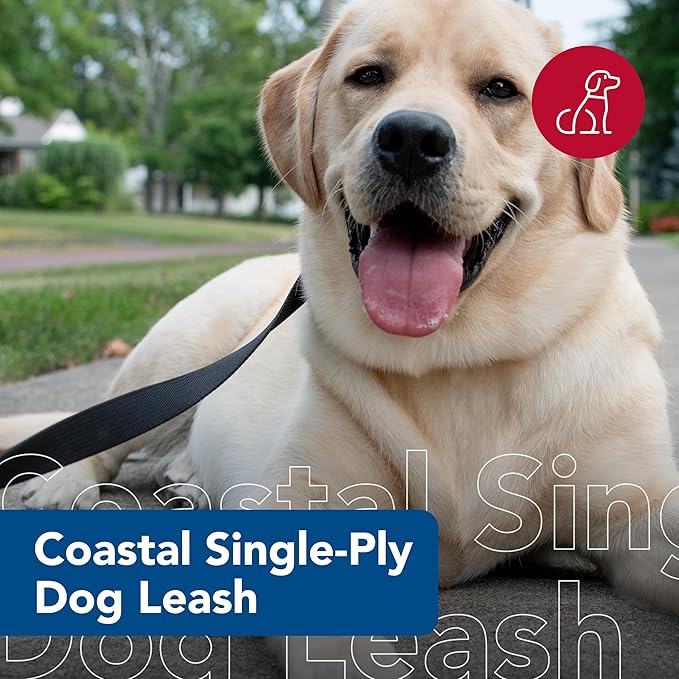 Coastal 6’ leash - black