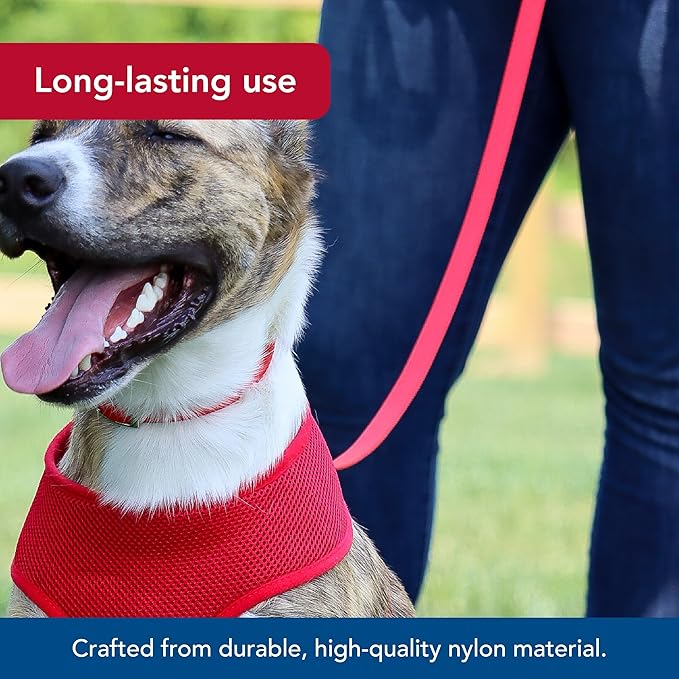 Coastal 6’ leash - pink