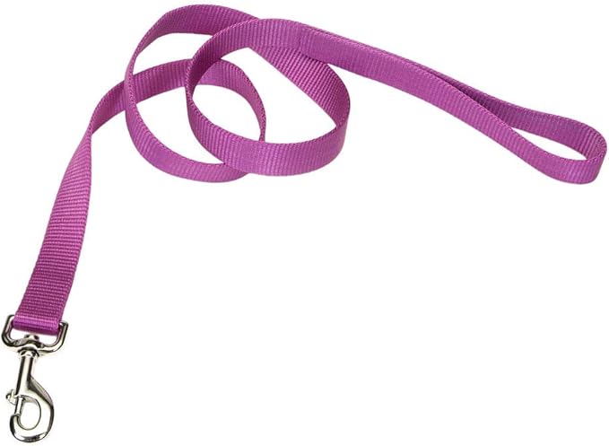 Coastal 6’ leash - pink