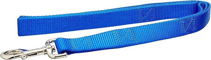 Coastal loops2 double handle leash blue 4ft dog leash