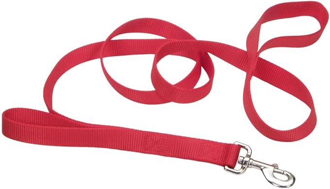Coastal loops2 double handle leash red 4ft dog leash