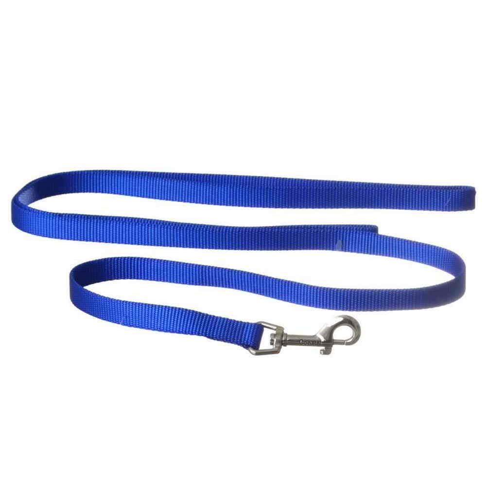 Coastal Nylon Puppy Leash For Dog - Blue - 0.6" W x 72" L - dog leash - 076484035425