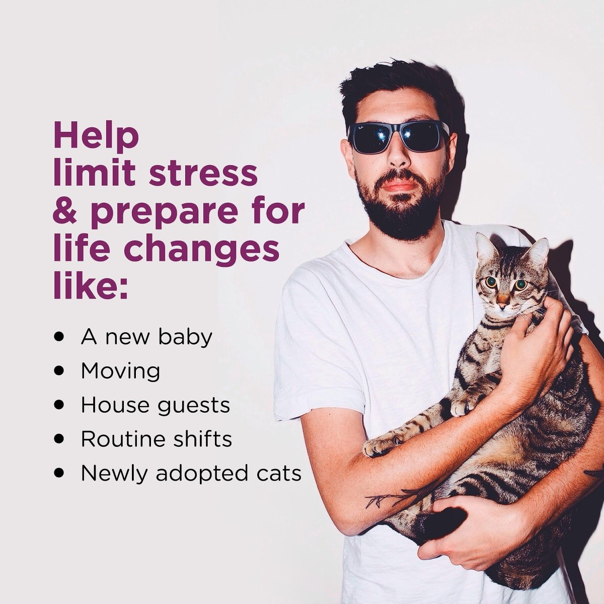 Comfort Zone Cat Calming Diffuser: Trial Kit (1 Diffuser & 1 Refill) - 039079003377