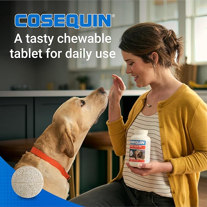 Cosequin joint health supplement maximum strength joint support 60ct dog