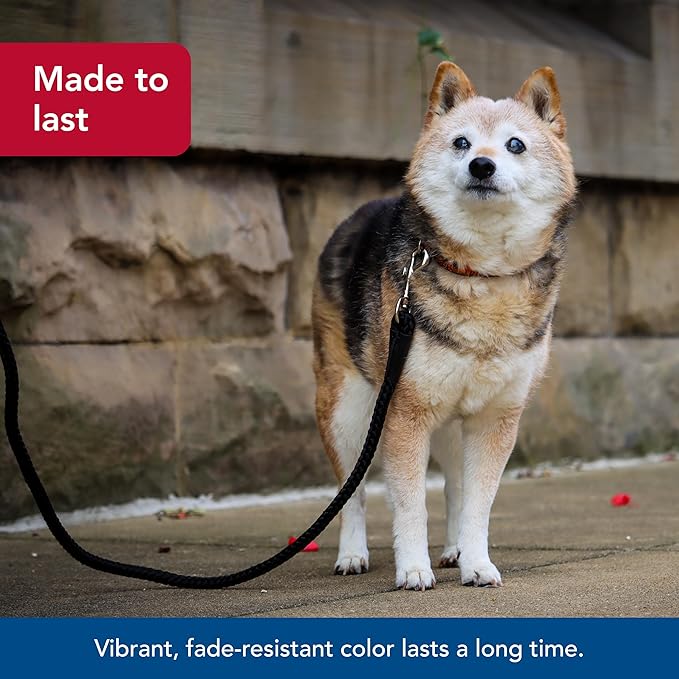 Costal black rope leash