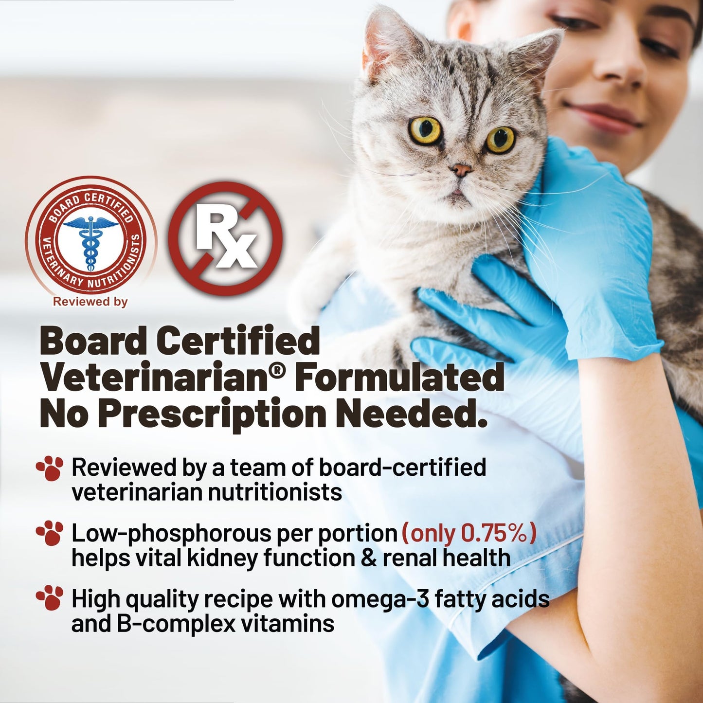 Dave's Pet Food Renal Cat Treats for Cat Kidney Support, Semi - Moist Healthy Treats with Kidney Support for Cats, Made in USA (1 Pack)