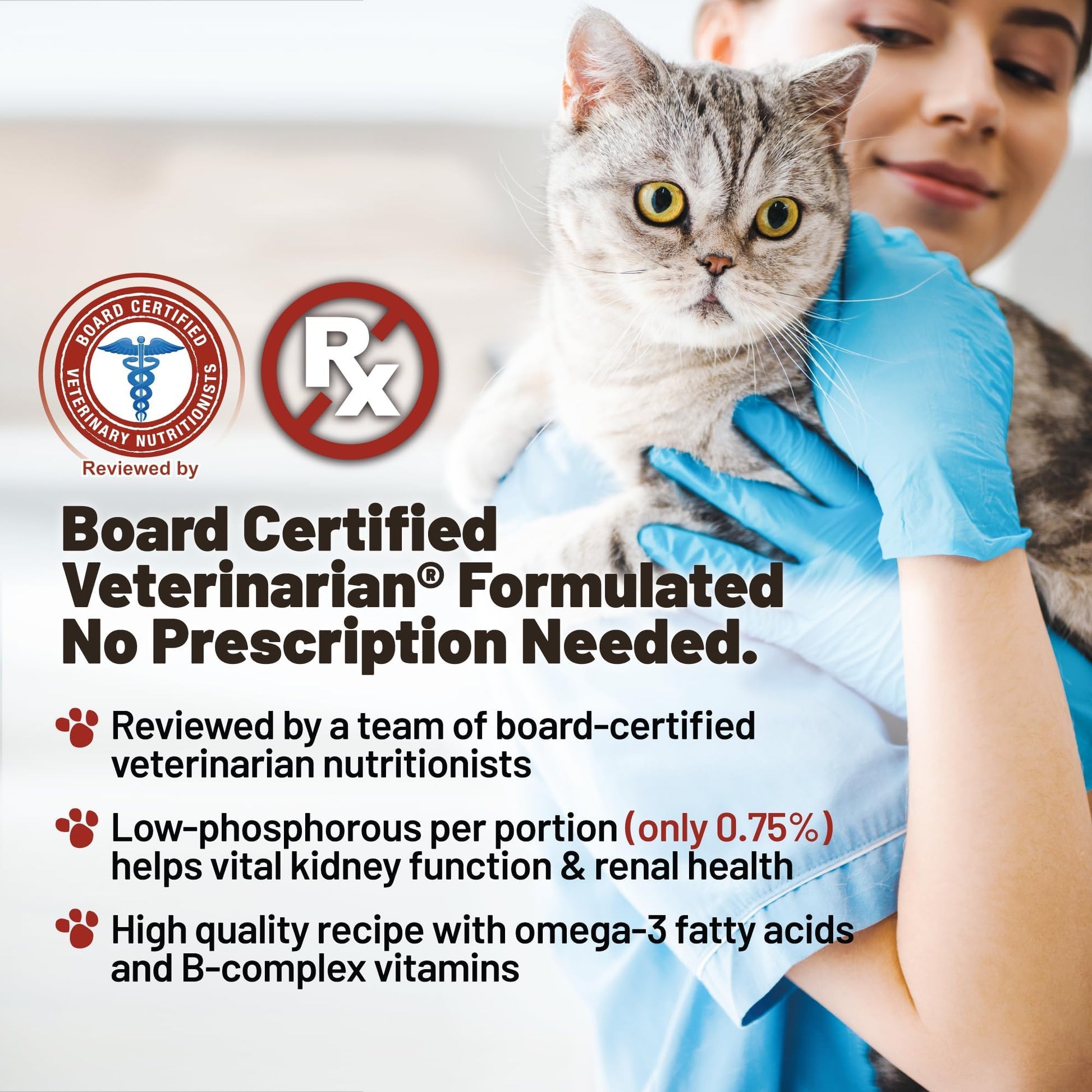 Dave's Pet Food Renal Cat Treats for Cat Kidney Support, Semi - Moist Healthy Treats with Kidney Support for Cats, Made in USA (1 Pack)