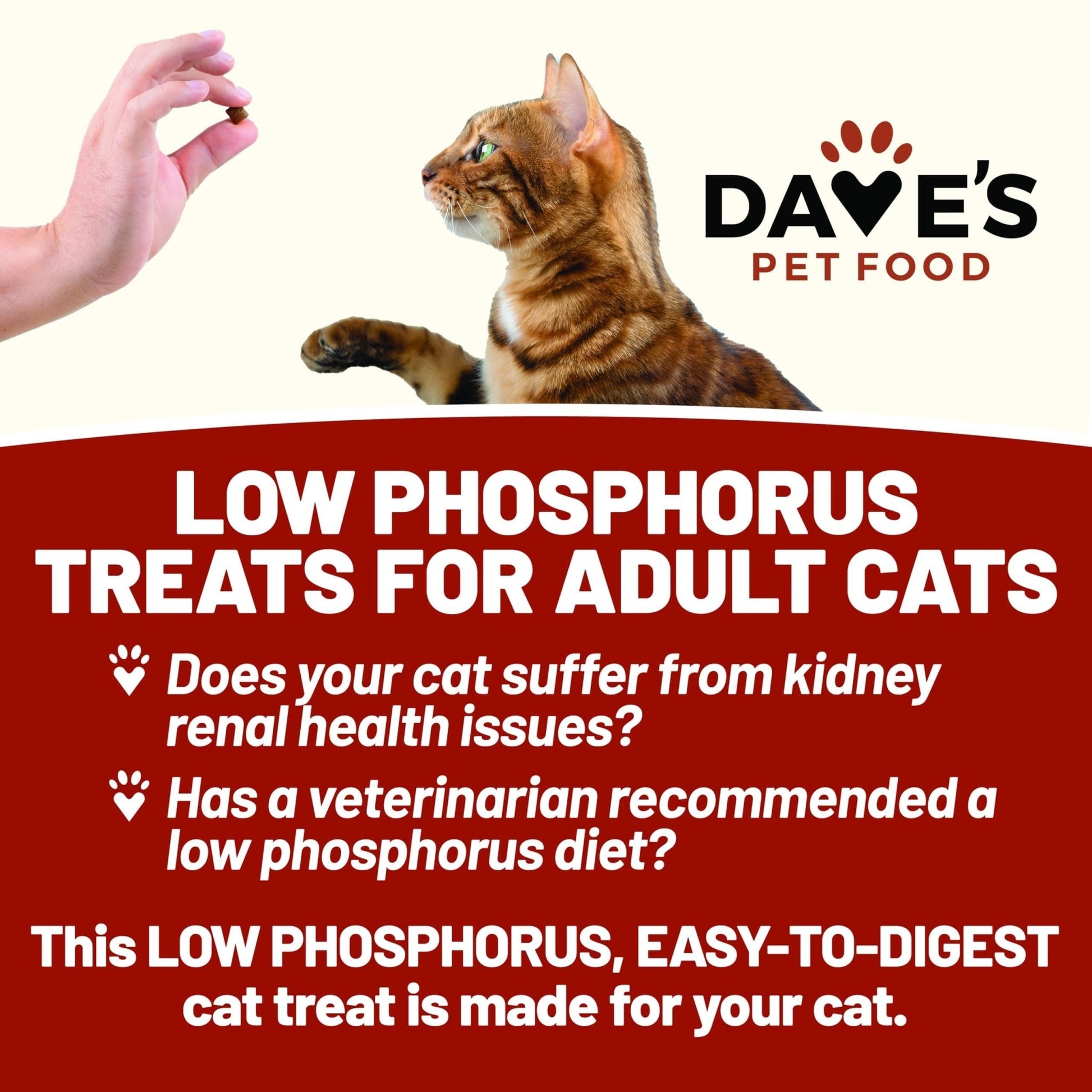 Dave's Pet Food Renal Cat Treats for Cat Kidney Support, Semi - Moist Healthy Treats with Kidney Support for Cats, Made in USA (1 Pack)