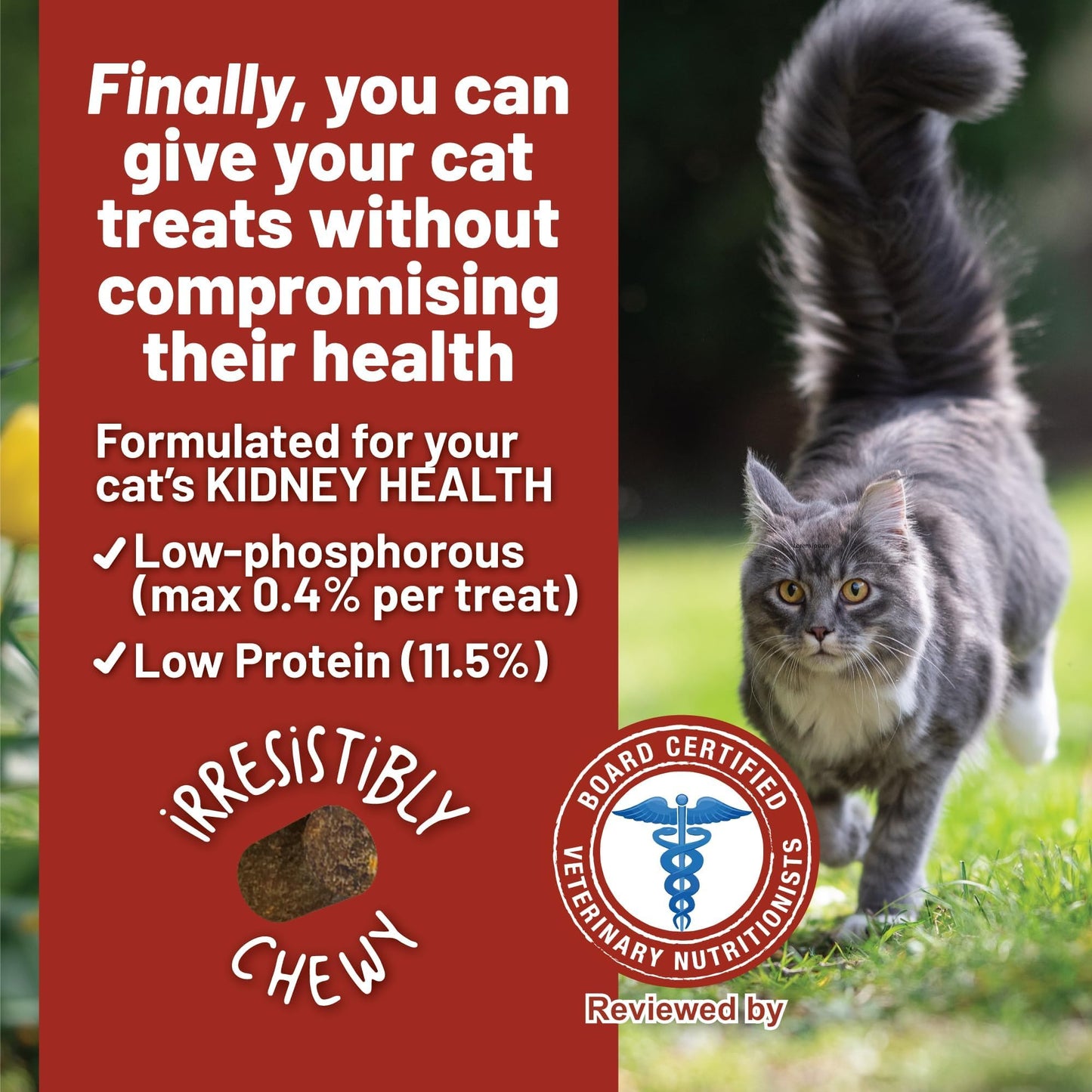 Dave's Pet Food Renal Cat Treats for Cat Kidney Support, Semi - Moist Healthy Treats with Kidney Support for Cats, Made in USA (1 Pack)