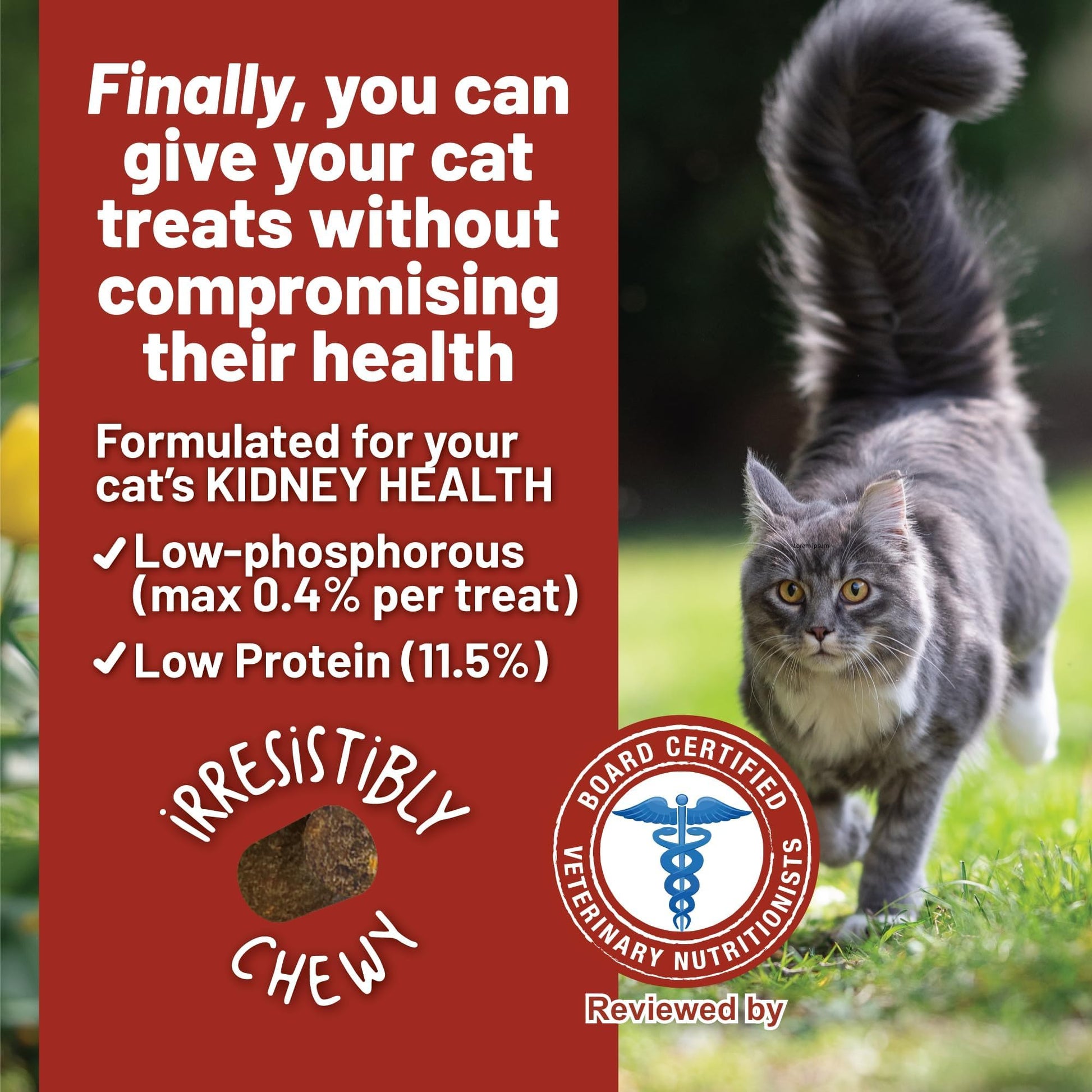 Dave's Pet Food Renal Cat Treats for Cat Kidney Support, Semi - Moist Healthy Treats with Kidney Support for Cats, Made in USA (1 Pack)