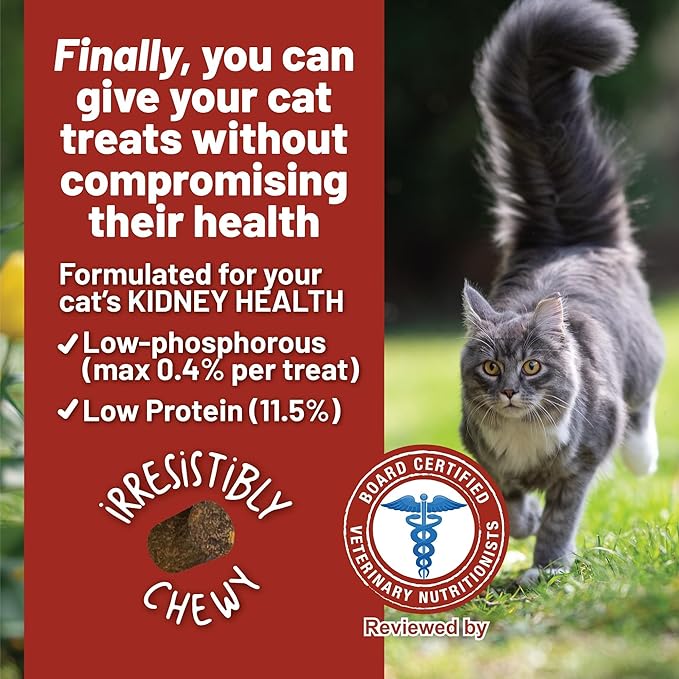 Dave’s renal friendly cat renal treats sweet potato recipe 3oz