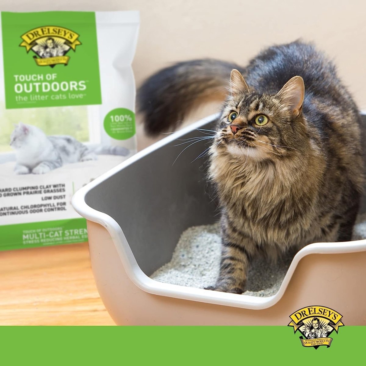 Dr. Elsey's Precious Cat Touch of Outdoors Litter Bag, 20 lb - cat litter - 000338001205