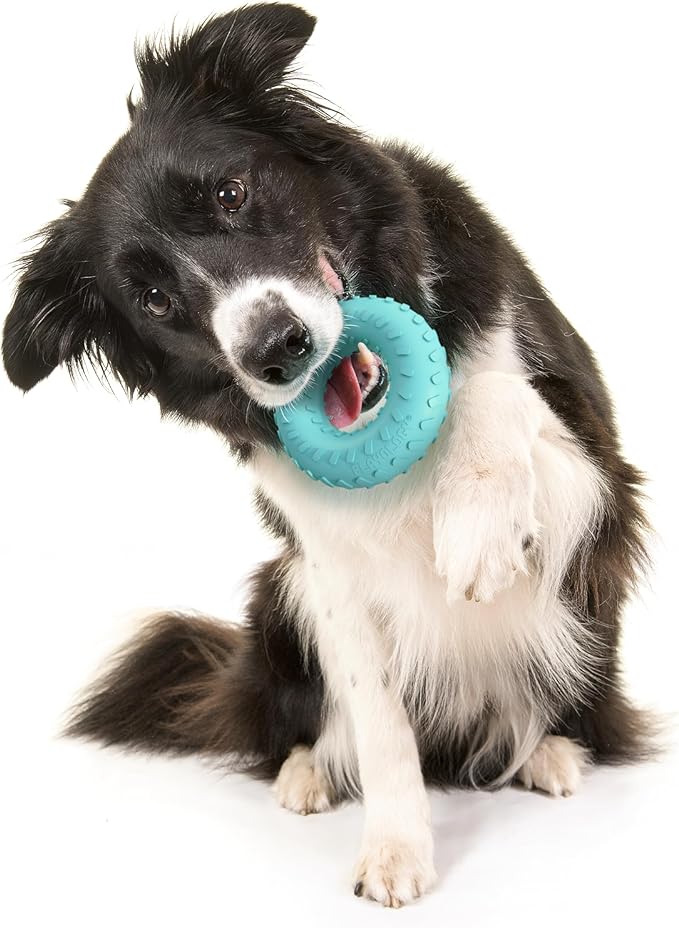 Dual layer ring playology medium peanut butter scent dog toy