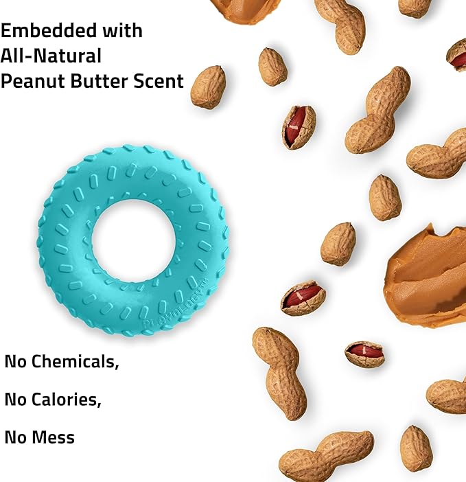 Dual layer ring playology medium peanut butter scent dog toy